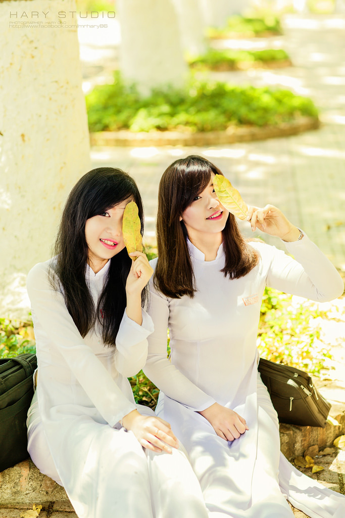 综艺在线观看